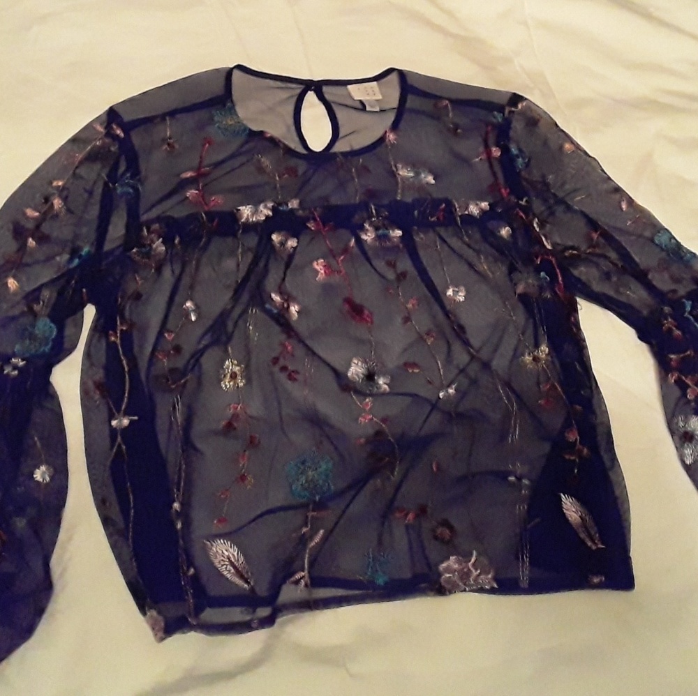 sheer Embroidered blouse - Picture 2 of 4